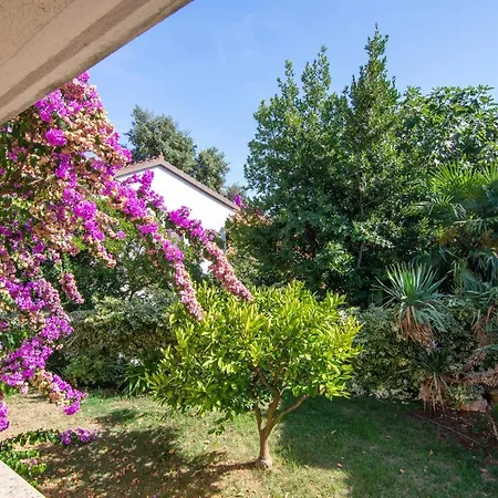 With A Parking Space Pjescana Uvala, - 7349 Appartamento