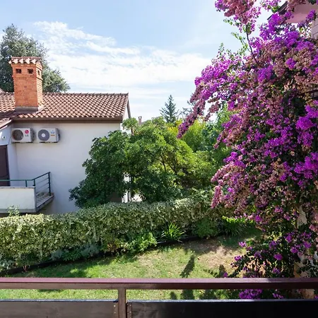 With Parking Space Pjescana Uvala, - 7349